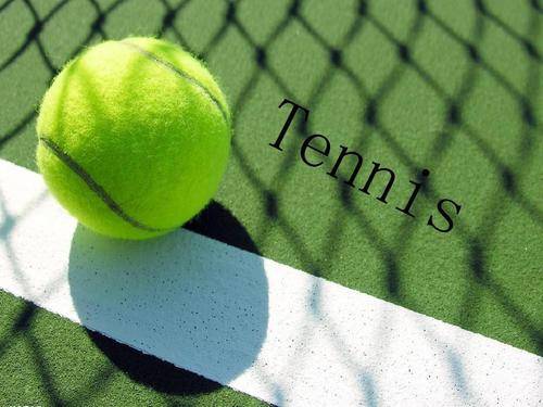 的比赛可谓 的比赛可谓